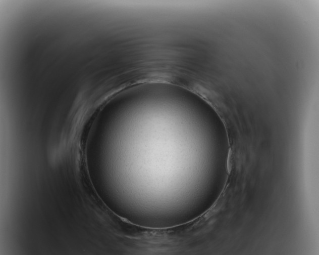 X0000088390338200705291413