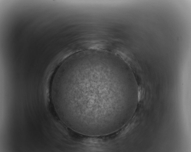 X0000088390339200705291413