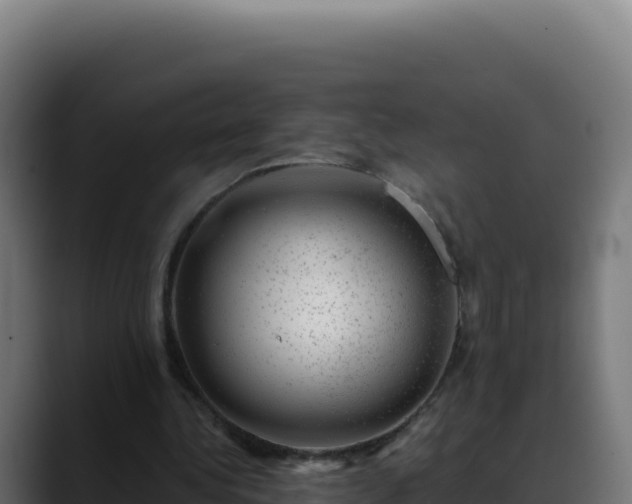 X0000088390340200705291413