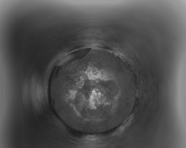 X0000088390341200705291413