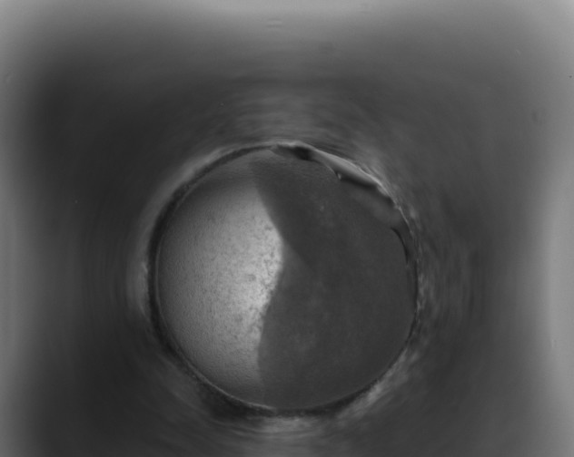 X0000088390342200705291413