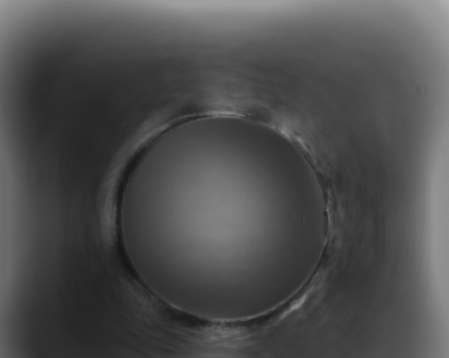 X0000088390343200705291413