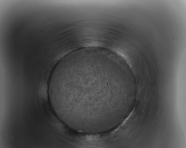 X0000088390345200705291413