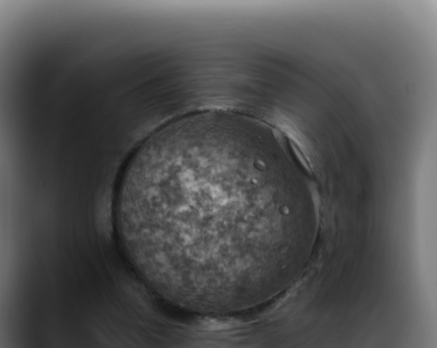 X0000088390346200705291413