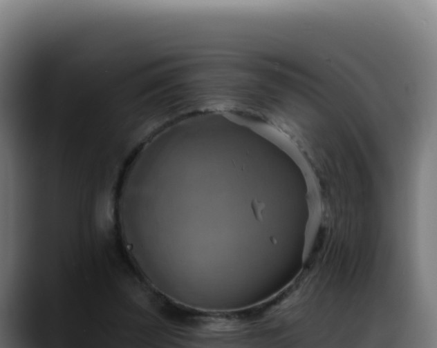 X0000088390347200705291413