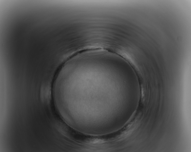 X0000088390348200705291413