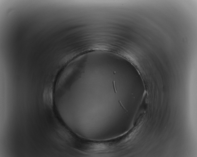 X0000088390349200705291413