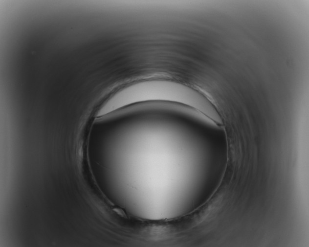 X0000088390350200705291413