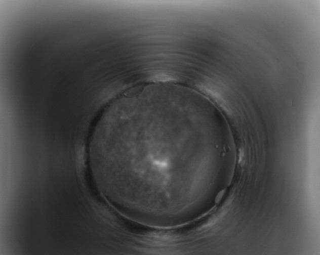 X0000088390351200705291413