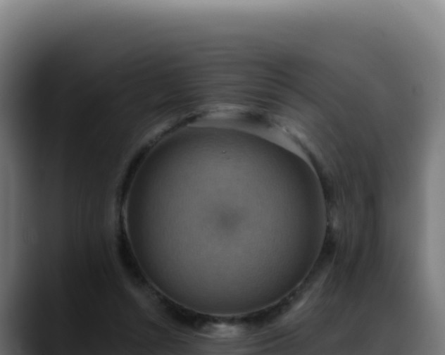 X0000088390352200705291413