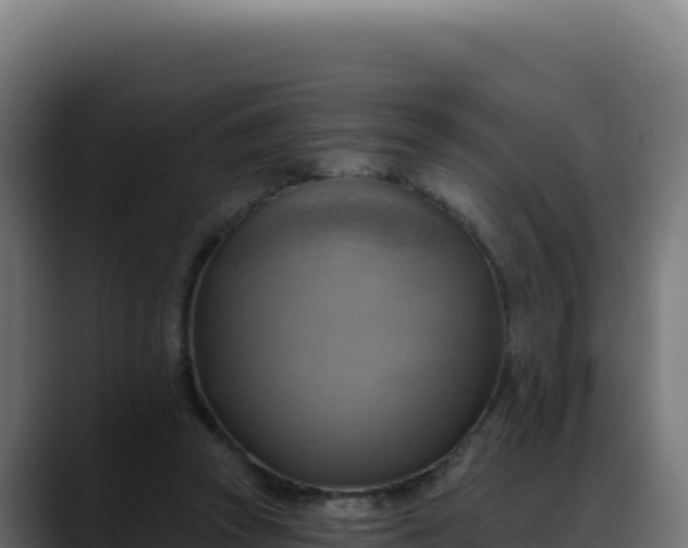 X0000088390353200705291413