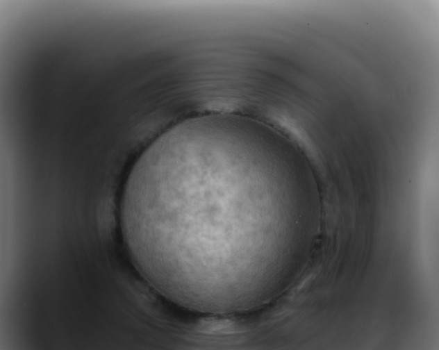 X0000088390354200705291413