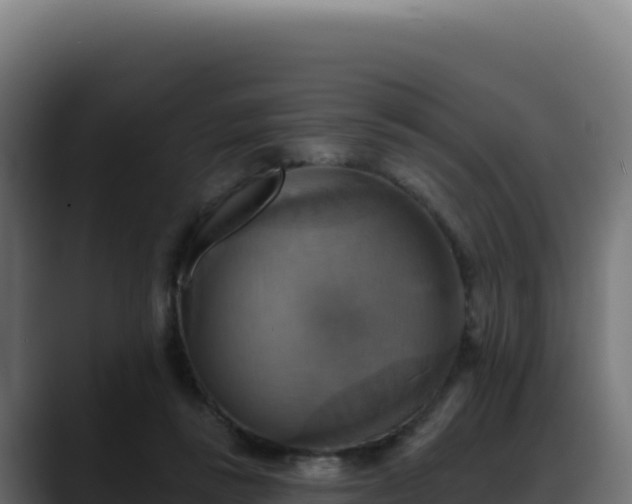 X0000088390355200705291413