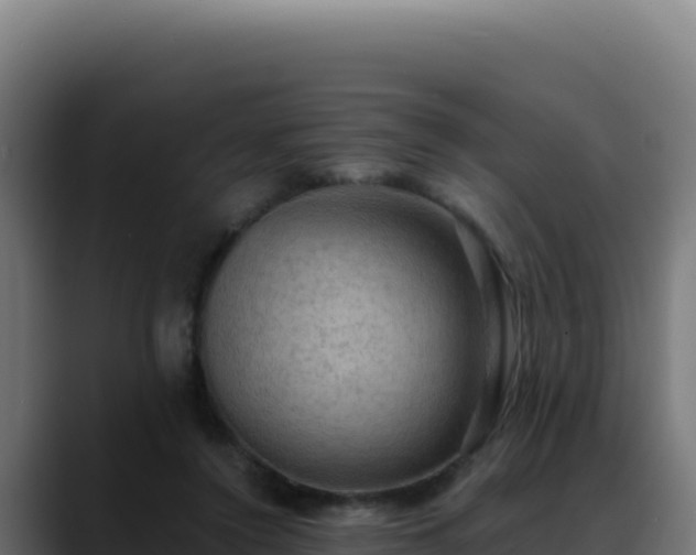 X0000088390356200705291413