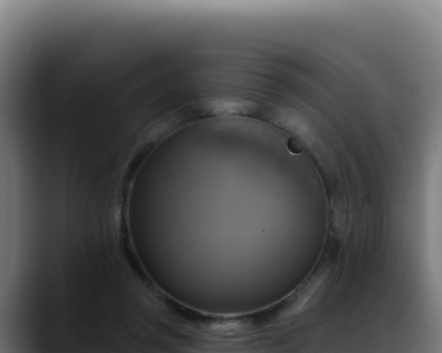 X0000088390357200705291413