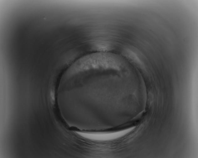 X0000088390358200705291413