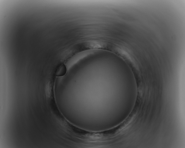 X0000088390359200705291413