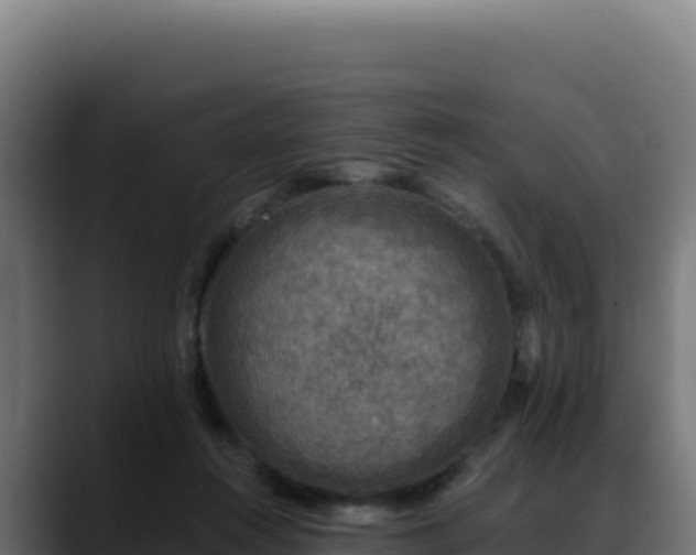 X0000088390360200705291413