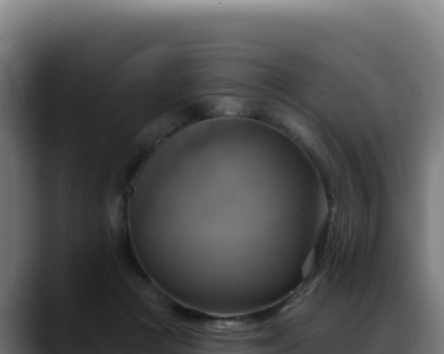 X0000088390361200705291413