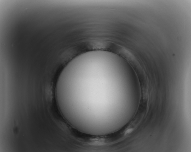 X0000088390362200705291413