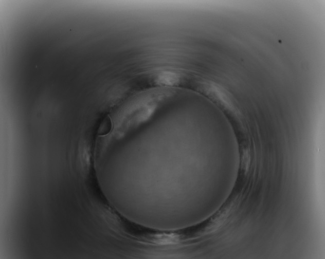 X0000088390363200705291413