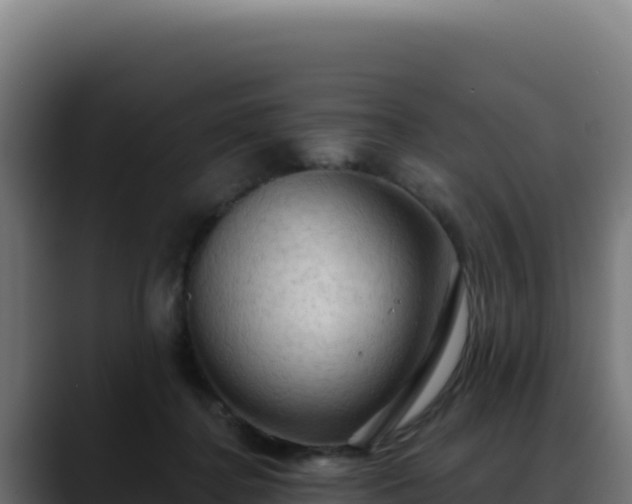 X0000088390364200705291413