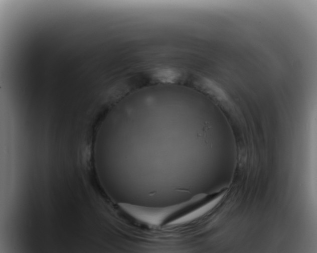 X0000088390365200705291413