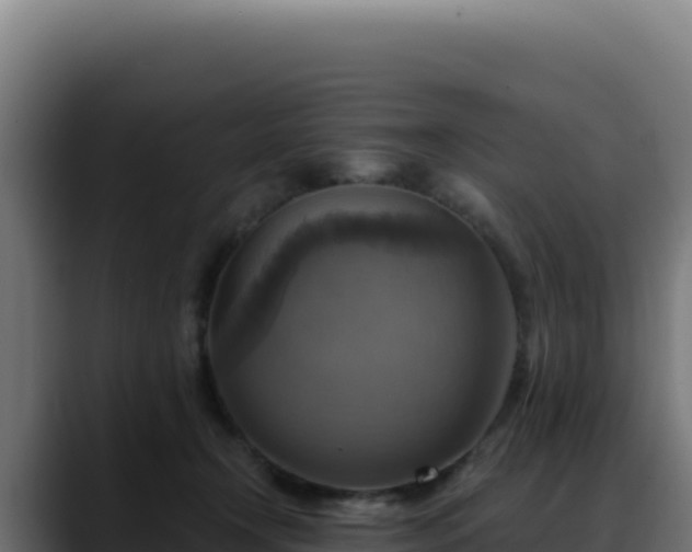 X0000088390366200705291413