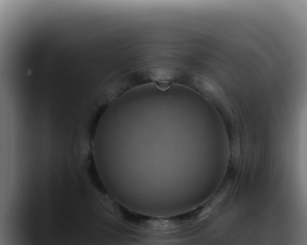 X0000088390367200705291413