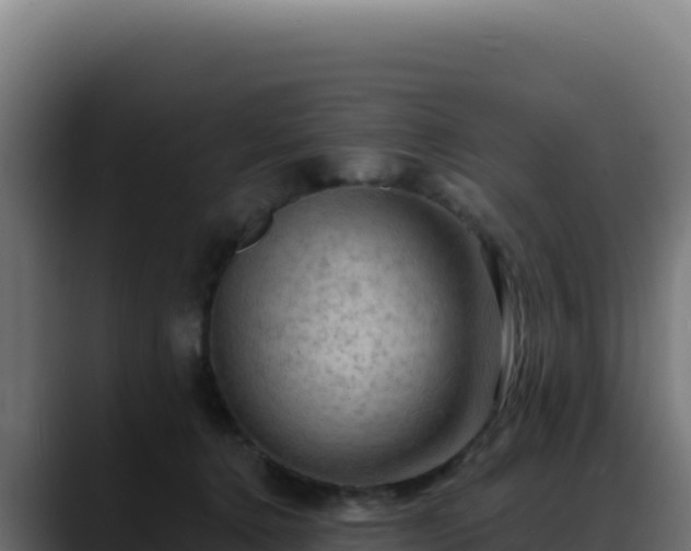 X0000088390368200705291413