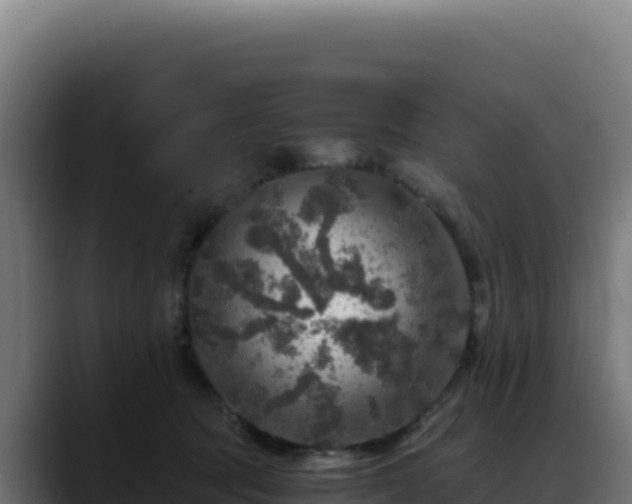 X0000088390369200705291413