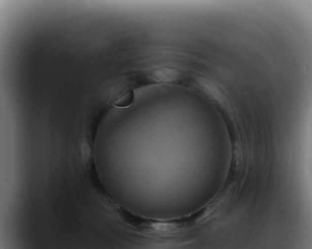 X0000088390371200705291413