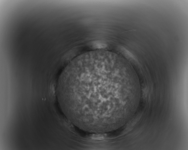 X0000088390373200705291413