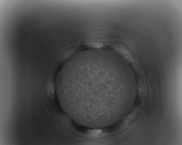 X0000088390374200705291413