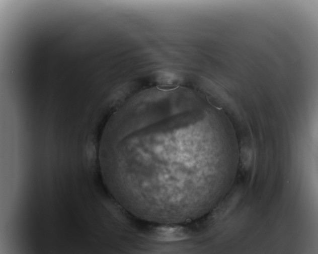 X0000088390375200705291413