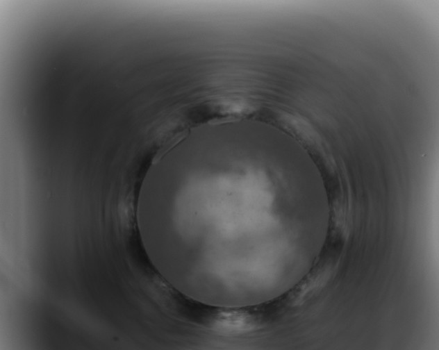 X0000088390376200705291413