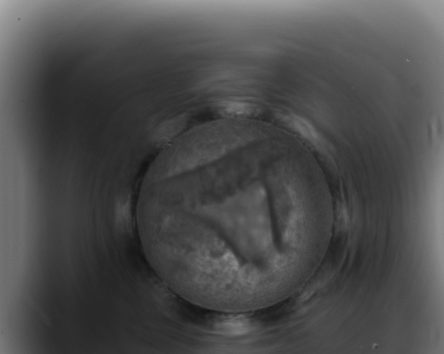 X0000088390377200705291413