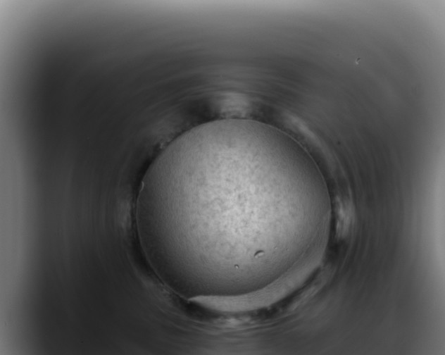 X0000088390379200705291413