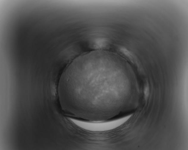 X0000088390380200705291413