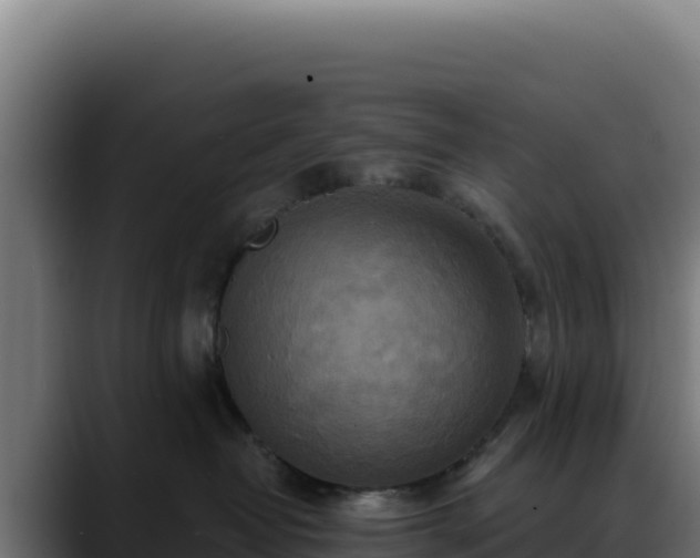 X0000088390382200705291413