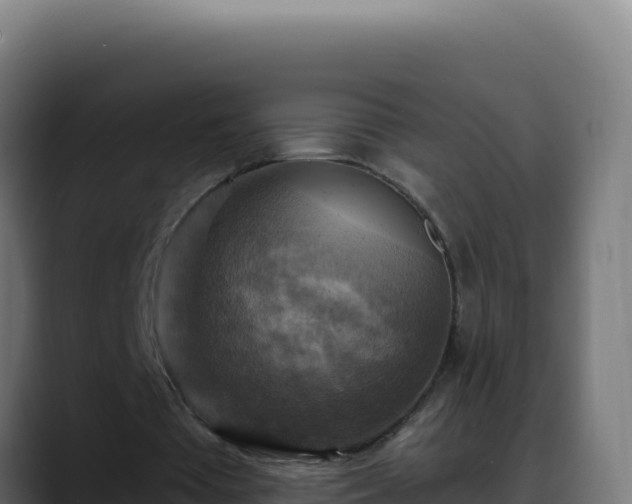 X0000088390385200705291413