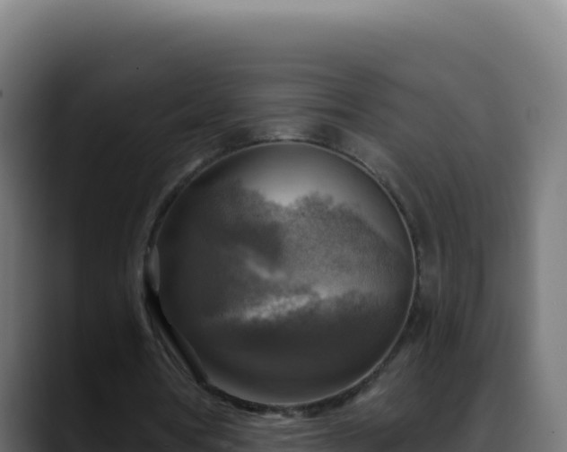 X0000088390386200705291413