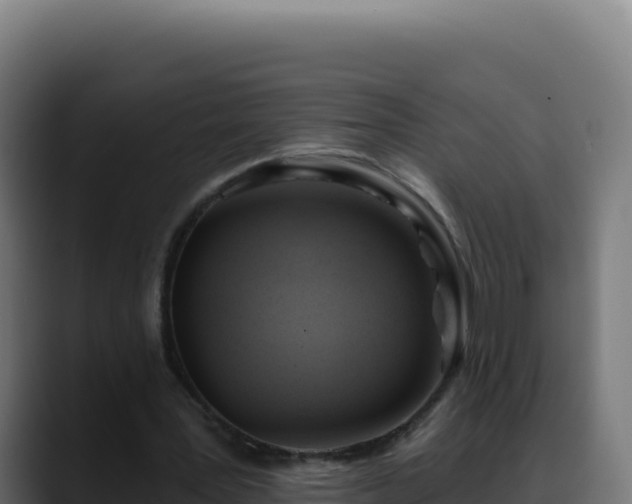 X0000088390387200705291413