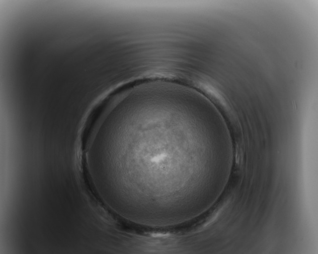 X0000088390388200705291412