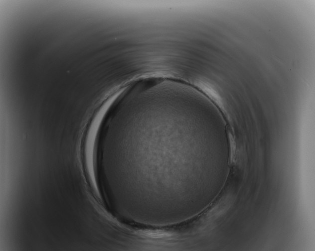 X0000088390389200705291412