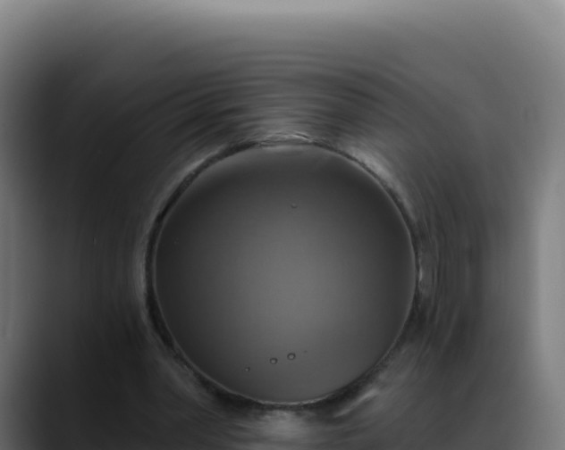 X0000088390390200705291412