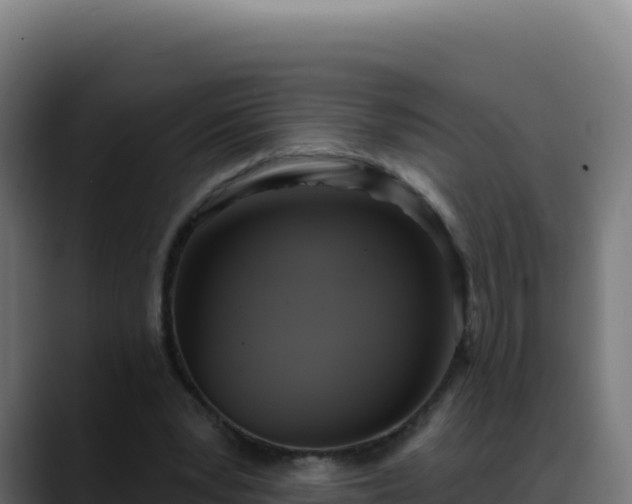 X0000088390391200705291412