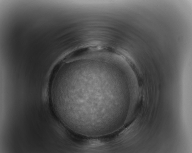 X0000088390392200705291412