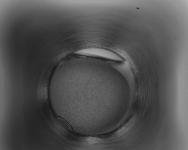 X0000088390393200705291412