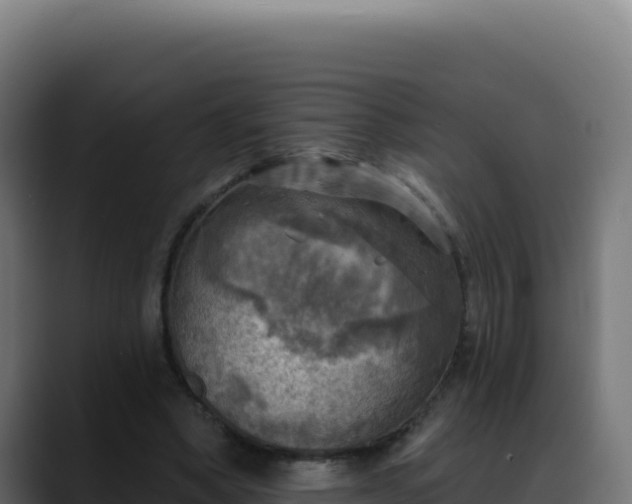 X0000088390394200705291412